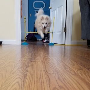 Meet your Posher, Ally